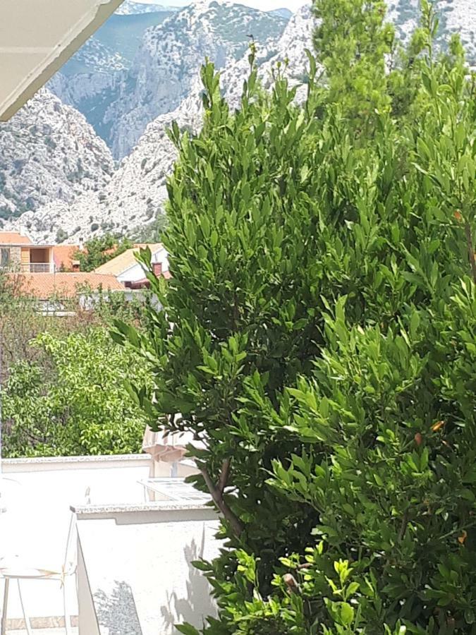 Apartmani Korina Starigrad Paklenica Εξωτερικό φωτογραφία